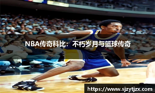 华体育hth官网登录