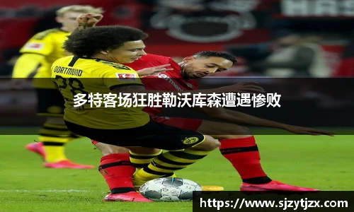 华体会hth体育中国
