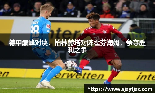 华体会hth体育中国