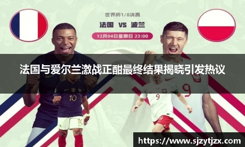 法国与爱尔兰激战正酣最终结果揭晓引发热议
